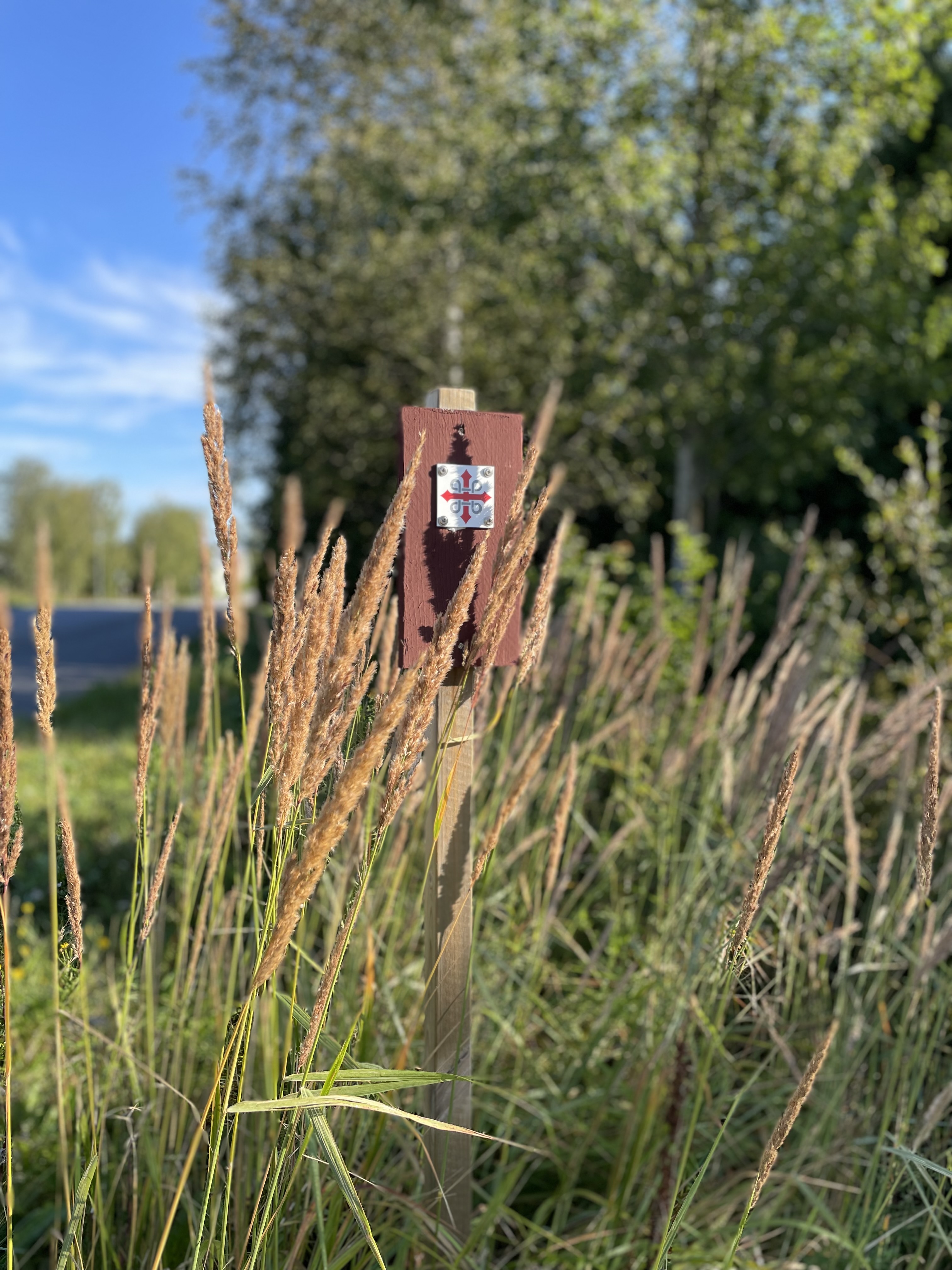 Pilgrimsledens ruttmärke i långgräs