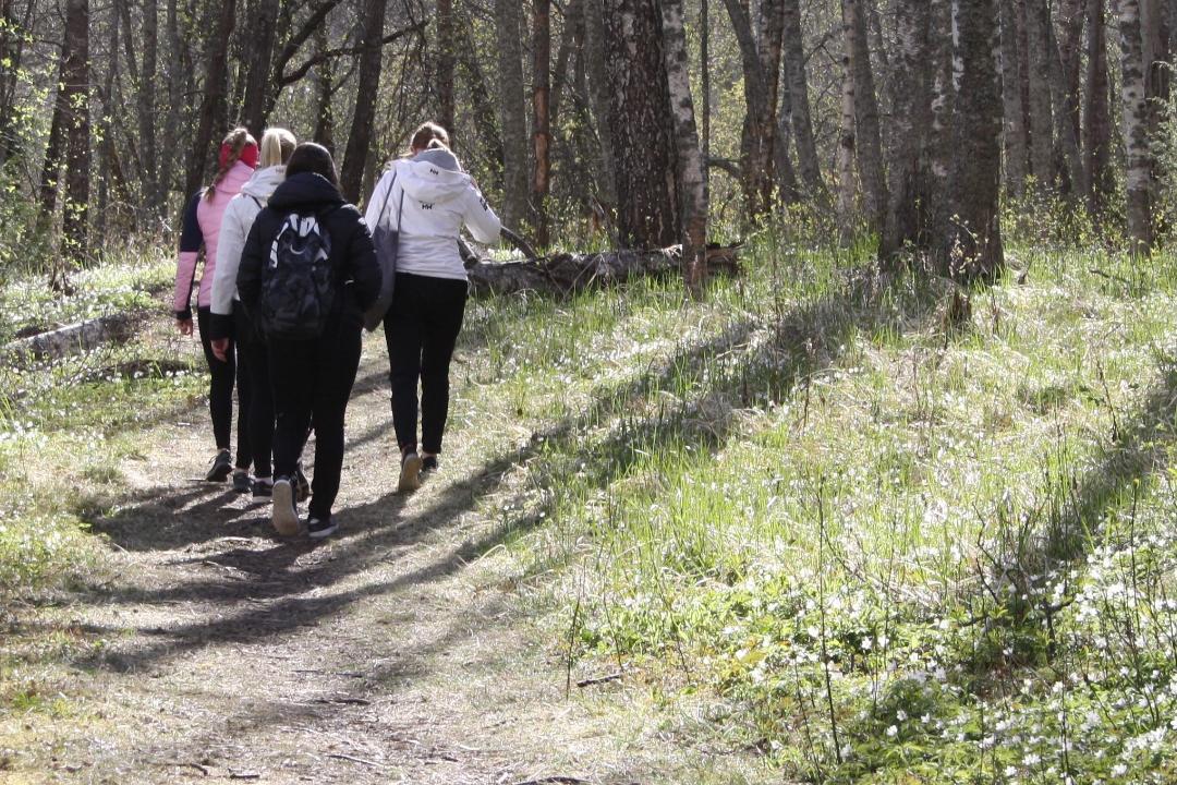 Ungdomar som vandrar på en stig